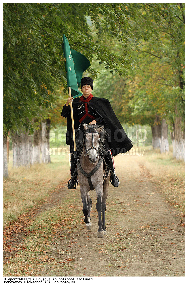 ������, ��������, �������, �������, �����, ���������, ��������, �������� ������