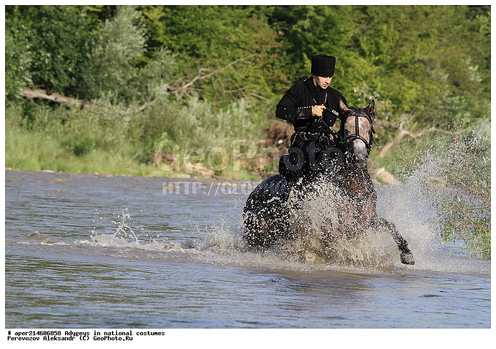 ������, ��������, �������, �������, �����, ���������, ��������, �������� ������