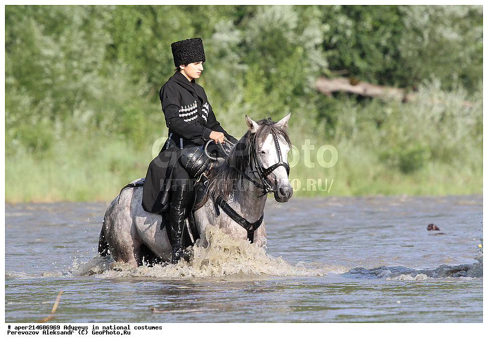 ������, ��������, �������, �������, �����, ���������, ��������, �������� ������