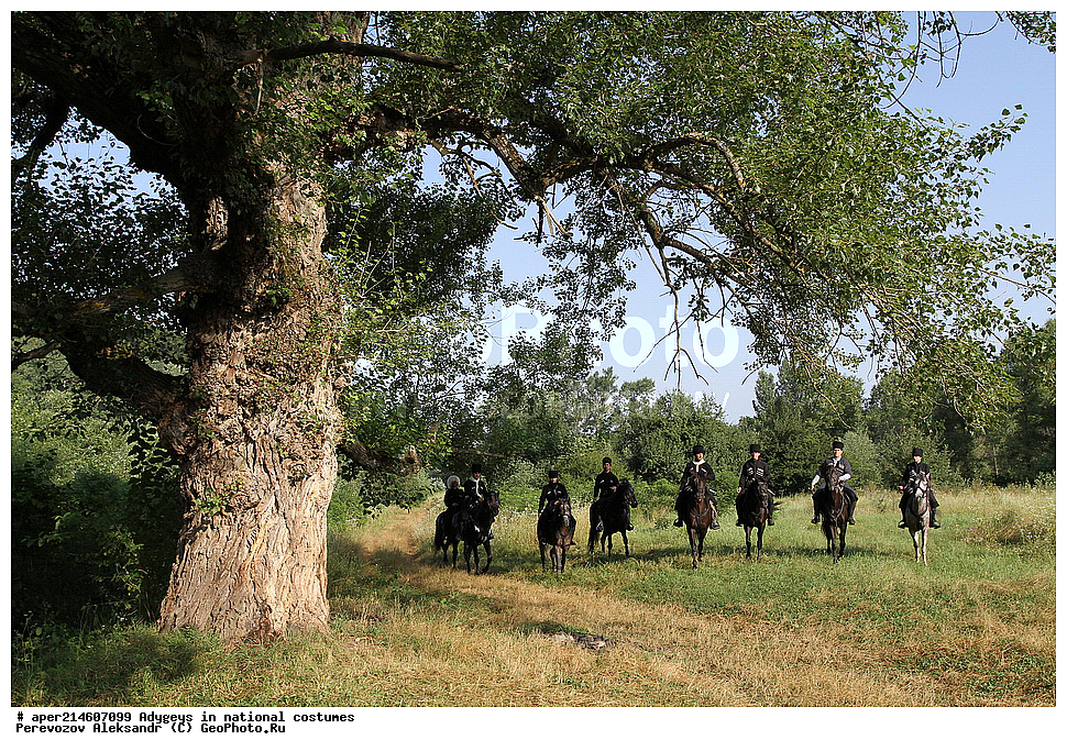 ������, ��������, �������, �������, �����, ���������, ��������, �������� ������