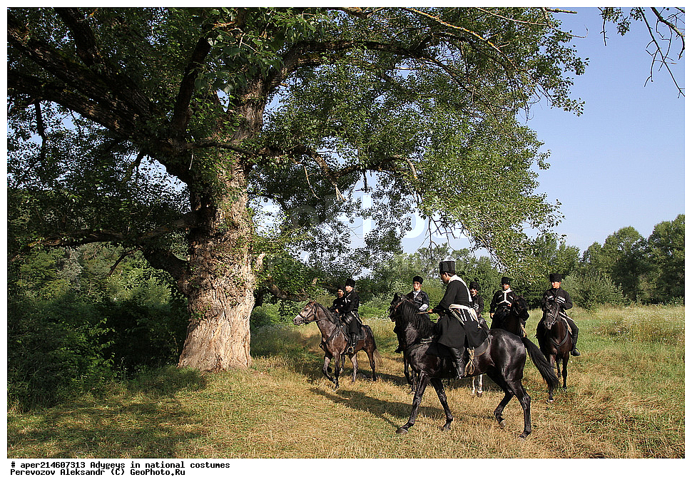 ������, ��������, �������, �������, �����, ���������, ��������, �������� ������