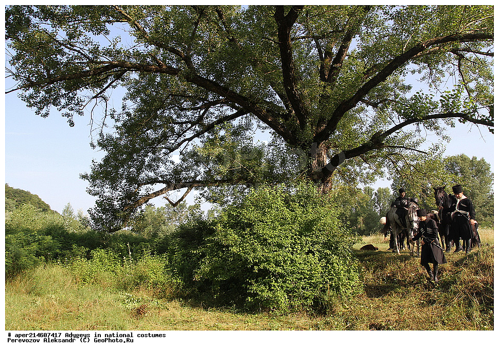 ������, ��������, �������, �������, �����, ���������, ��������, �������� ������