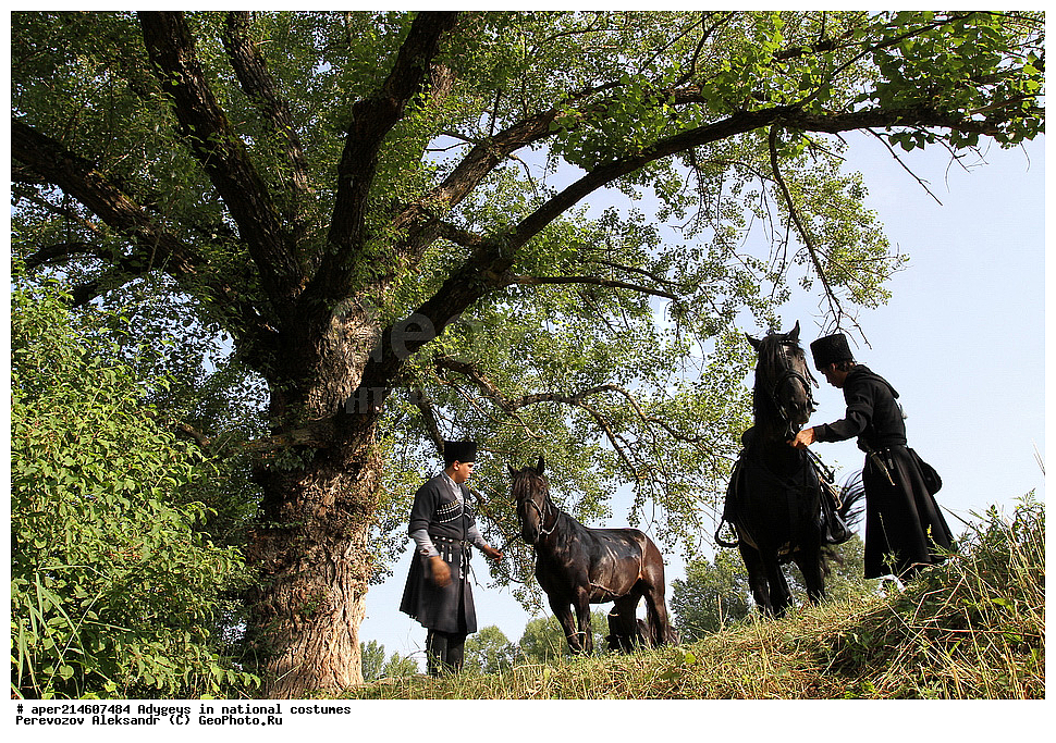 ������, ��������, �������, �������, �����, ���������, ��������, �������� ������