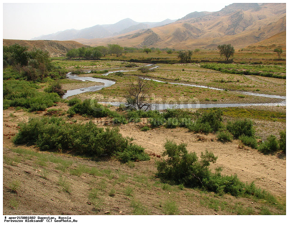 ���� ���������, ���������, ��������, ������