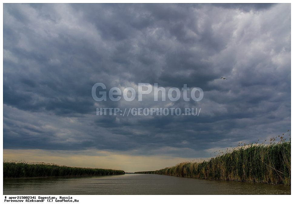 ������������, ���������, ��������, ������, ���������