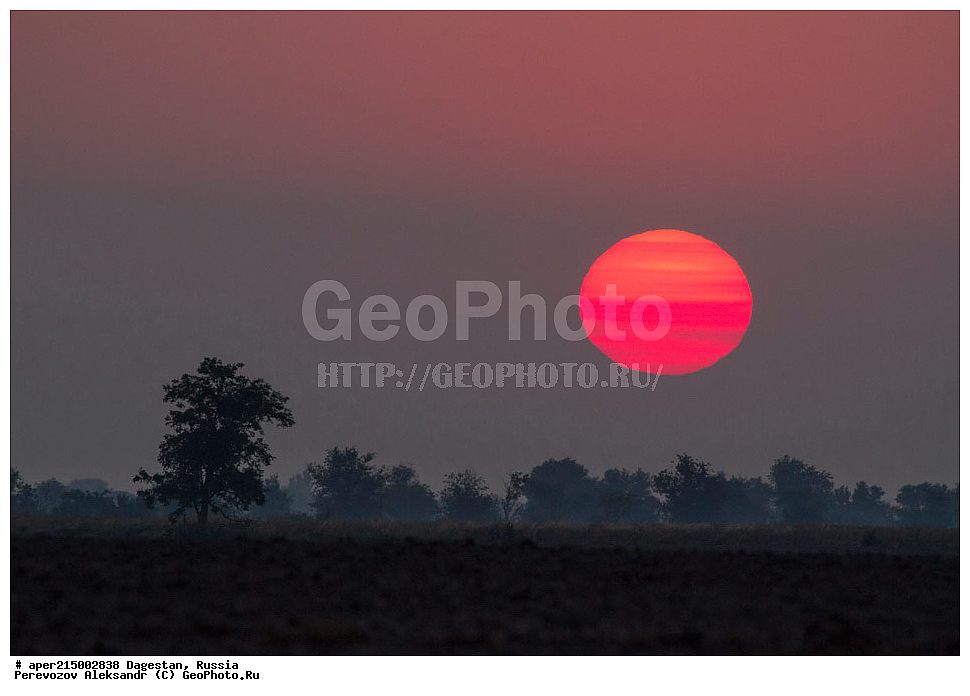 �������, �����, ���������� �����, ���������, ��������, ������