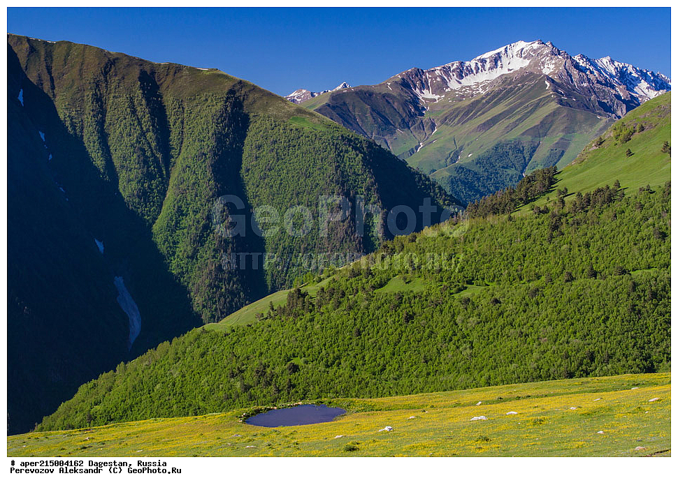 ������������, ���������, ��������, ������, ���������