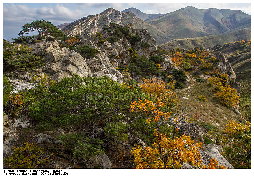 ������������, ���������, ��������, ������, ���������