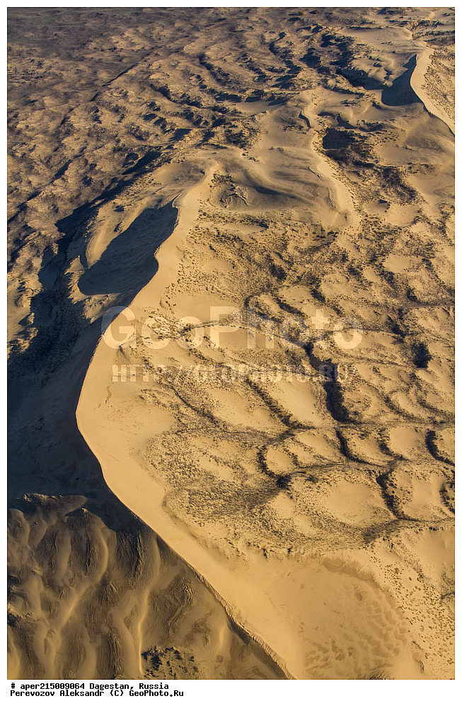 ������������, ���������, ��������, ������, ���������