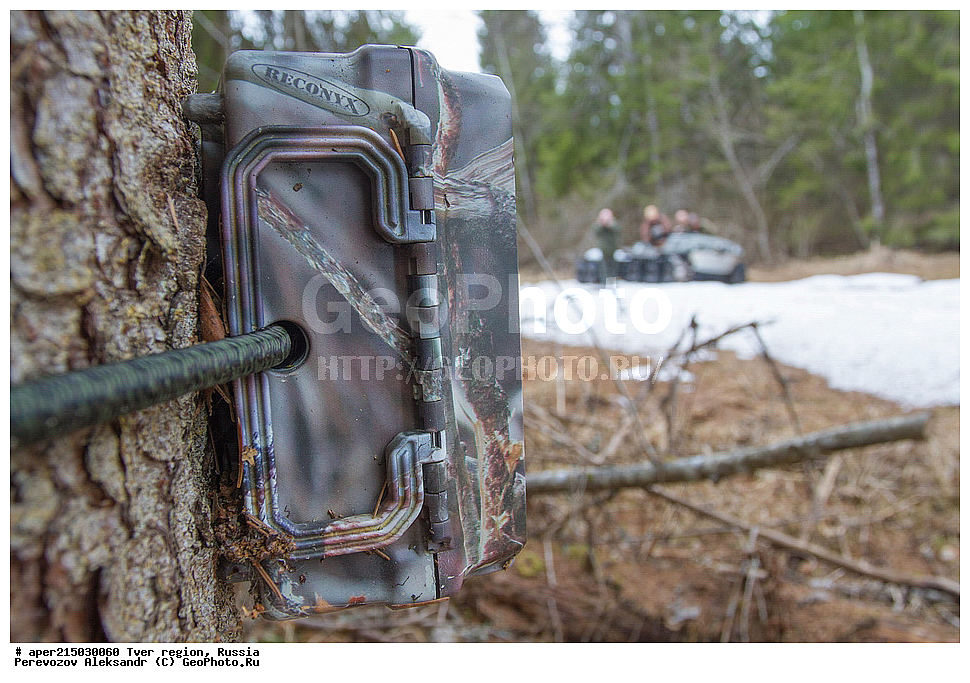 �������� �������, ����������-������ ��������������� ��������� ���������� ����������, ����������-������ ����������, ���������� �������������, ������, ����, ������, ��������������, �����������