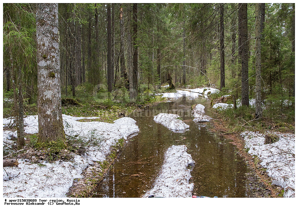 �������� �������, ����������-������ ��������������� ��������� ���������� ����������, ����������-������ ����������, ���������� �������������, ������, ����, ������, �������, ����, ��������� ����� ��������� ����