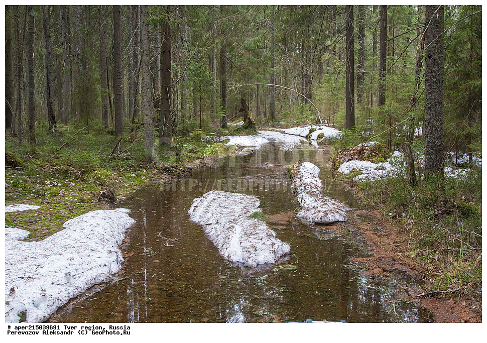 �������� �������, ����������-������ ��������������� ��������� ���������� ����������, ����������-������ ����������, ���������� �������������, ������, ����, ������, �������, ����, ��������� ����� ��������� ����