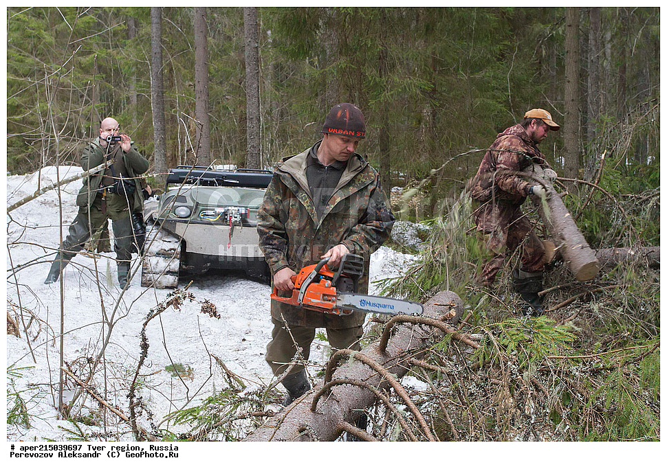 �������� �������, ����������-������ ��������������� ��������� ���������� ����������, ����������-������ ����������, ���������� �������������, ������, ����, ������, ������ �����������, ��������� ����