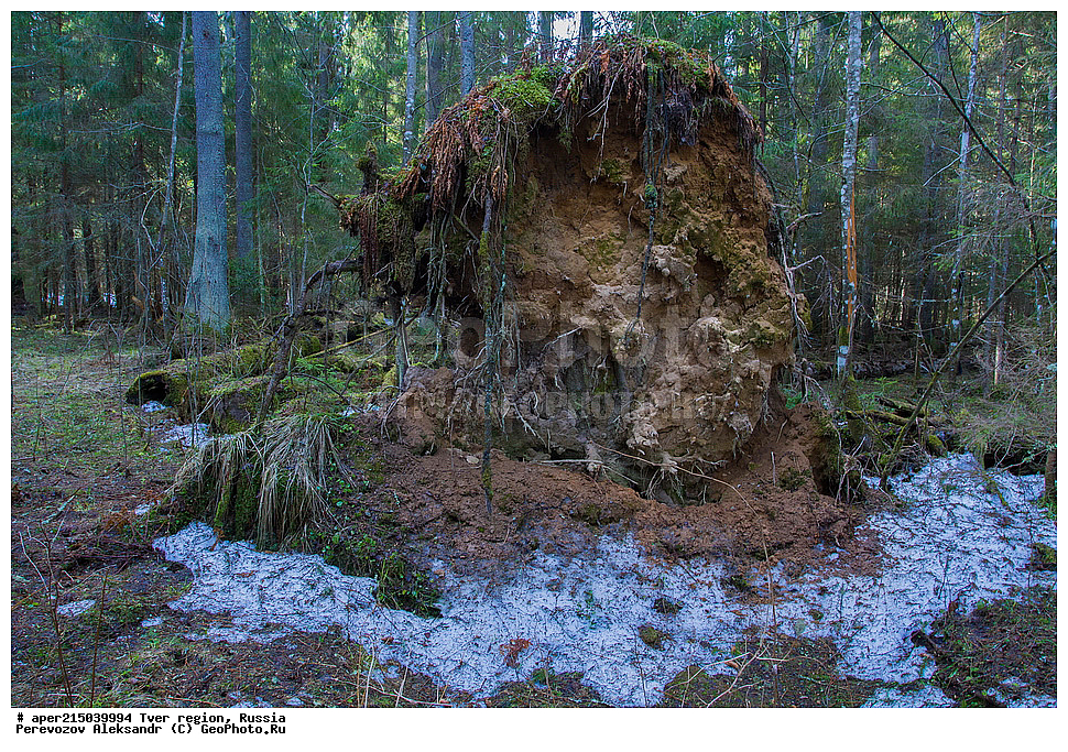 �������� �������, ����������-������ ��������������� ��������� ���������� ����������, ����������-������ ����������, ���������� �������������, ������, ����, ������, �������, ����, ��������� ����� ��������� ����