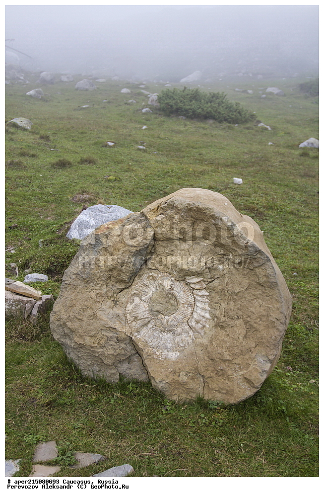 ���������-��������, �������� ������, ������, �������, ���������-���������� ����������, ����, ���������-���������� ������������ ����������, �������