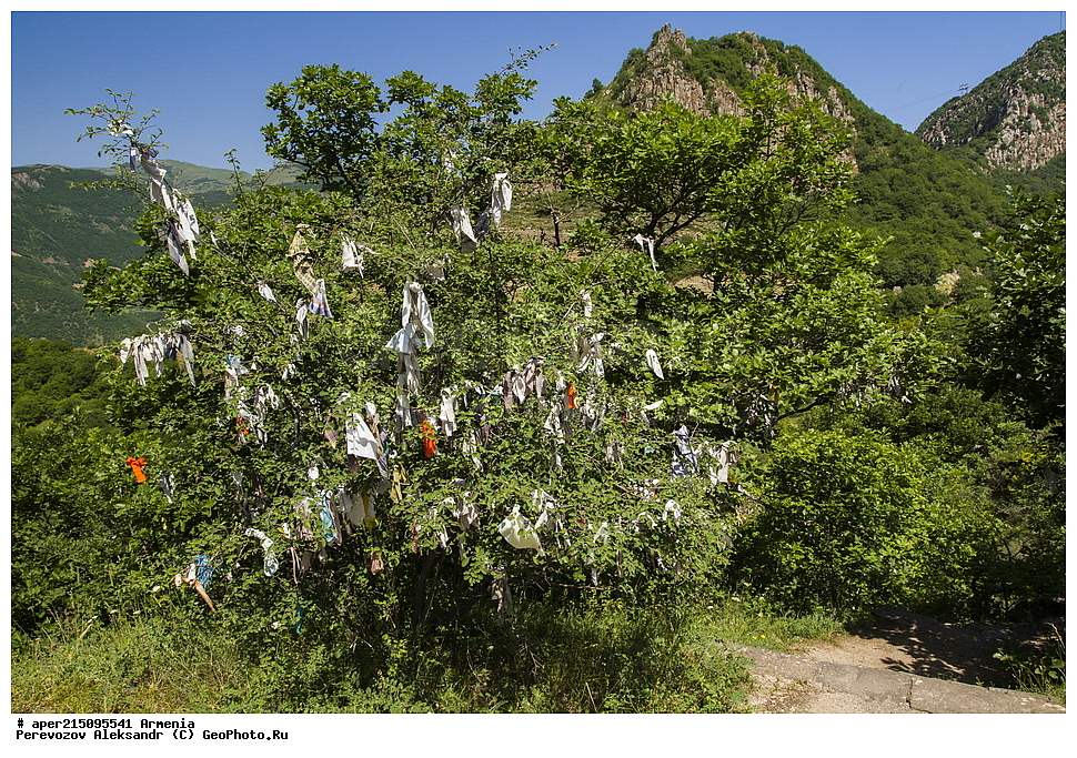 ����� ������, ����������, ���������� �������, ��������, �����