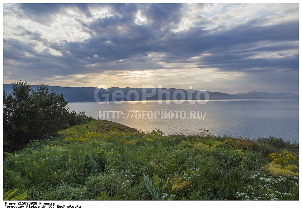 ����� ������, ����������, ���������� �������, ����� �����