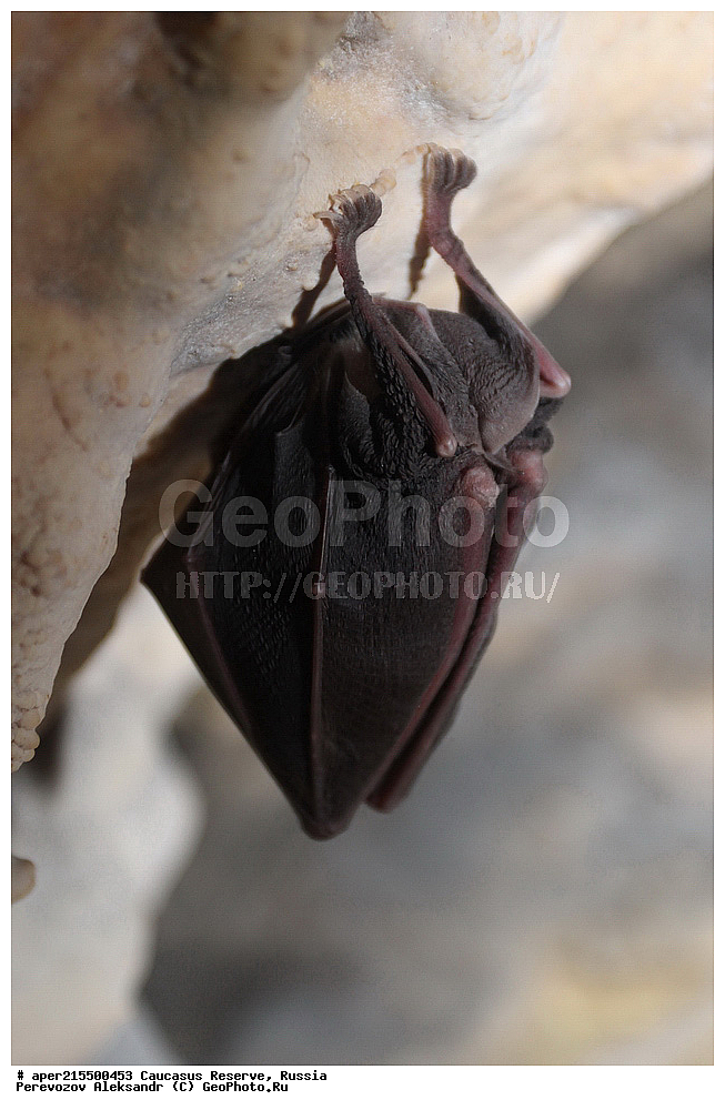  ������������� ����, ���������� ������, ���������-���������� ����������, ������, ���, ������, �������� ������, ���������� ��������������� ����������, ���������� ��������������� ��������� ���������� ���������� ����� �. �. �����������, ��������, ��������, �������������, �������������, �����, �����, ������� ����, ������� ����, ������