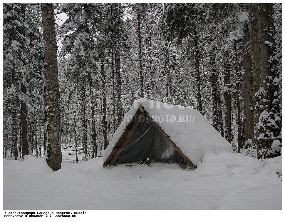 ������������� ����, ���������� ������, ���������-���������� ����������, ������, ���, ������, �������� ������, ���������� ��������������� ����������, ���������� ��������������� ��������� ���������� ���������� ����� �. �. �����������, ������, ��������, ���������� �������, �����, ����, �����, ���������, ������ ������, ����, ������, ����, �������� ������,, ������