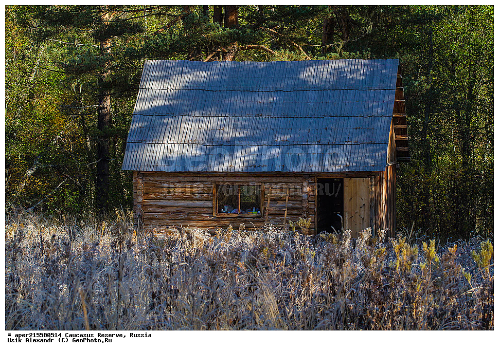 ������������� ����, ���������� ������, ���������-���������� ����������, ������, ���, ������, �������� ������, ���������� ��������������� ����������, ���������� ��������������� ��������� ���������� ���������� ����� �. �. �����������, ������, ��������, ����� �����, ��������������, �������������� ������, �����, ������, ����, �������� ������,, ������