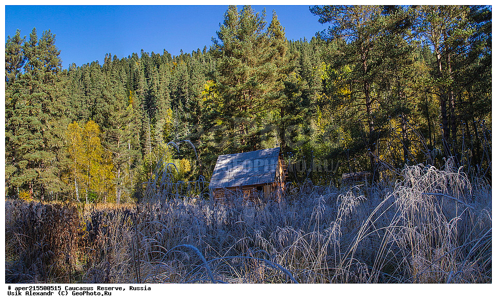 ������������� ����, ���������� ������, ���������-���������� ����������, ������, ���, ������, �������� ������, ���������� ��������������� ����������, ���������� ��������������� ��������� ���������� ���������� ����� �. �. �����������, ������, ��������, ����� �����, ��������������, �������������� ������, �����, ������, ����, �������� ������,, ������