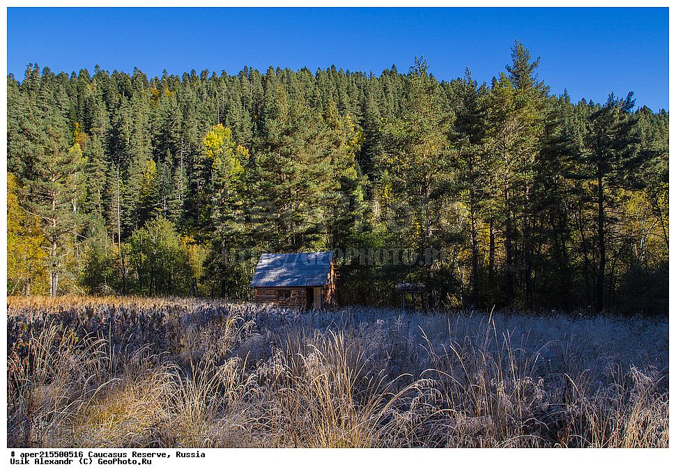 ������������� ����, ���������� ������, ���������-���������� ����������, ������, ���, ������, �������� ������, ���������� ��������������� ����������, ���������� ��������������� ��������� ���������� ���������� ����� �. �. �����������, ������, ��������, ����� �����, ��������������, �������������� ������, �����, ������, ����, �������� ������,, ������