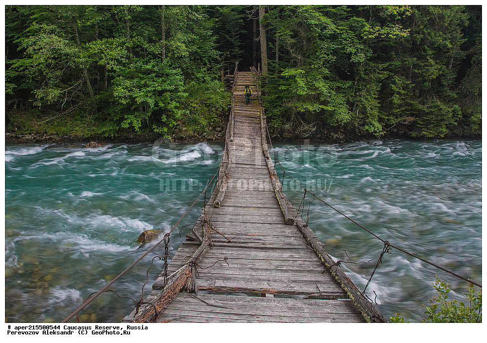 ������������� ����, ���������� ������, ���������-���������� ����������, ������, ���, ������, �������� ������, ���������� ��������������� ����������, ���������� ��������������� ��������� ���������� ���������� ����� �. �. �����������, ����, ����� ����, ������, ������, ����, ������, ����, �������� ������,, ������