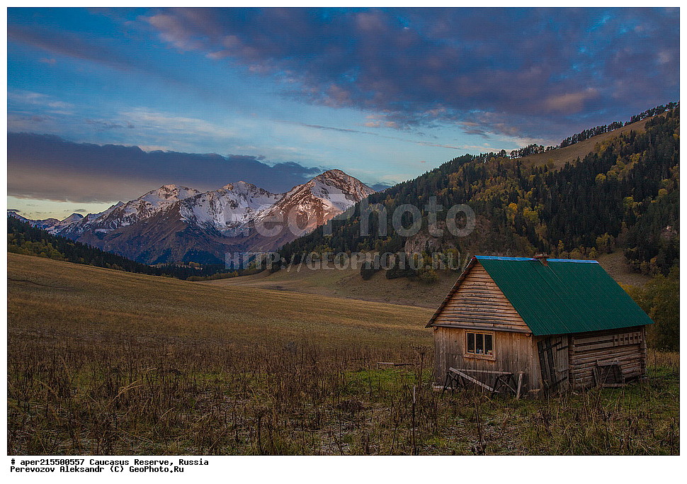 ������������� ����, ���������� ������, ���������-���������� ����������, ������, ���, ������, �������� ������, ���������� ��������������� ����������, ���������� ��������������� ��������� ���������� ���������� ����� �. �. �����������, ������, ��������, ��������, �����, �����, ������������ �������, �����, ������, ����, �������� ������,, ������