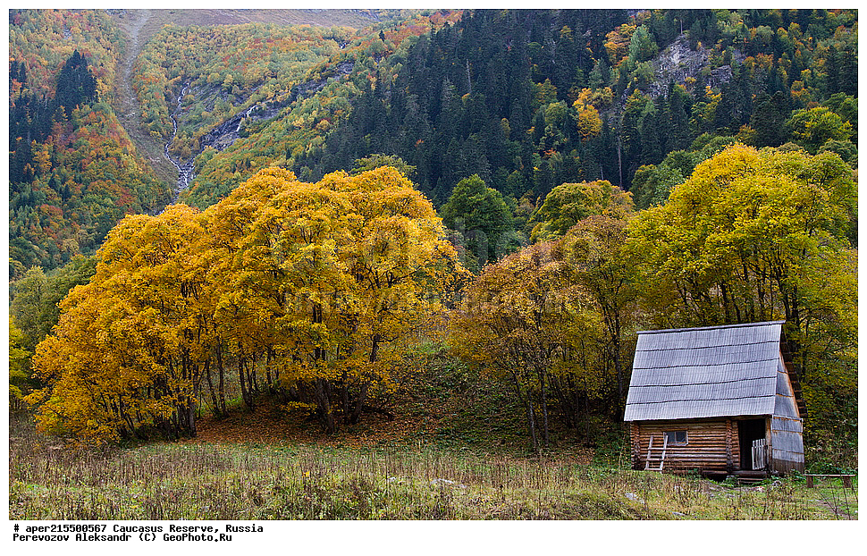 ������������� ����, ���������� ������, ���������-���������� ����������, ������, ���, ������, �������� ������, ���������� ��������������� ����������, ���������� ��������������� ��������� ���������� ���������� ����� �. �. �����������, ������, ��������, ������������ �����, ������, ����, ����������, �����, ������, ����, �������� ������,, ������