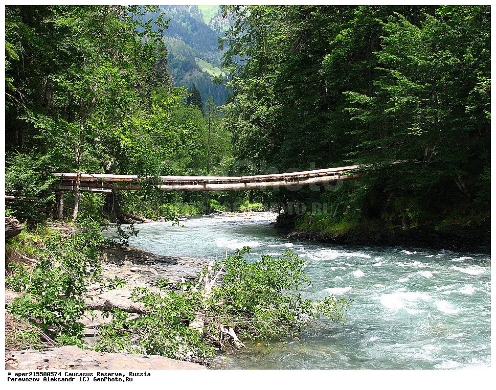 ������������� ����, ���������� ������, ���������-���������� ����������, ������, ���, ������, �������� ������, ���������� ��������������� ����������, ���������� ��������������� ��������� ���������� ���������� ����� �. �. �����������, ����, ����, ����, ������, ������, ����, ������, ����, �������� ������,, ������