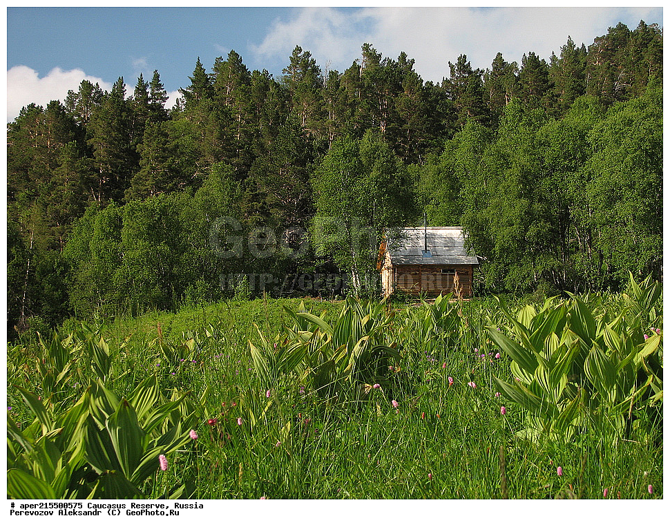 ������������� ����, ���������� ������, ���������-���������� ����������, ������, ���, ������, �������� ������, ���������� ��������������� ����������, ���������� ��������������� ��������� ���������� ���������� ����� �. �. �����������, ������, ��������, �����, ������, ���� �����, ����, ������, ����, �������� ������,, ������