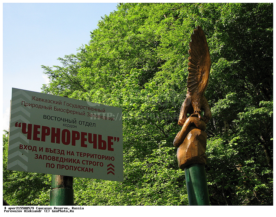 ������������� ����, ���������� ������, ���������-���������� ����������, ������, ���, ������, �������� ������, ���������� ��������������� ����������, ���������� ��������������� ��������� ���������� ���������� ����� �. �. �����������, ������, ��������, ������ ����������, �����, ����, ����� ����, ����, ������, ����, �������� ������,, ������