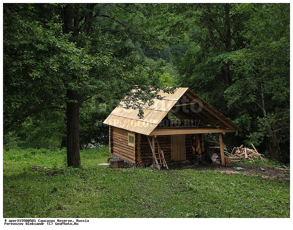 ������������� ����, ���������� ������, ���������-���������� ����������, ������, ���, ������, �������� ������, ���������� ��������������� ����������, ���������� ��������������� ��������� ���������� ���������� ����� �. �. �����������, ������, ��������, ������ ������ ����, ����, ������, ����, �������� ������,, ������