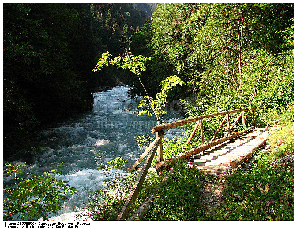 ������������� ����, ���������� ������, ���������-���������� ����������, ������, ���, ������, �������� ������, ���������� ��������������� ����������, ���������� ��������������� ��������� ���������� ���������� ����� �. �. �����������, ����, ����, ����� ����, ������, ������, ������ ����, ����, ������, ����, �������� ������,, ������