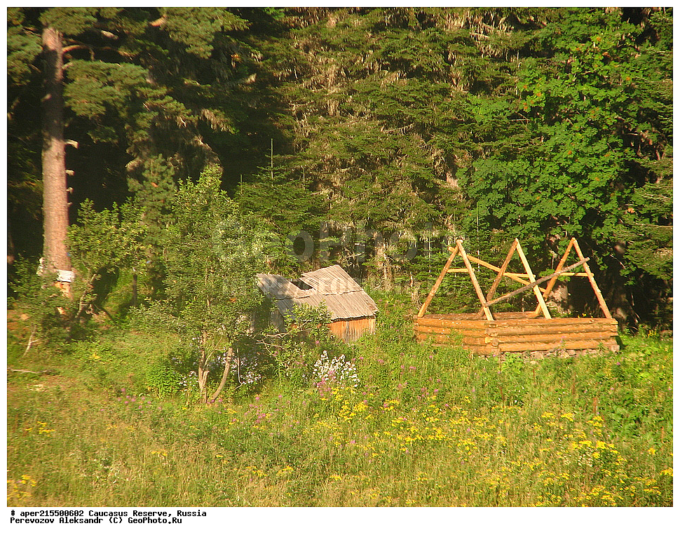 ������������� ����, ���������� ������, ���������-���������� ����������, ������, ���, ������, �������� ������, ���������� ��������������� ����������, ���������� ��������������� ��������� ���������� ���������� ����� �. �. �����������, ������, ��������, ������� �����, �������, ������, ������, ����, ������, ����, �������� ������,, ������