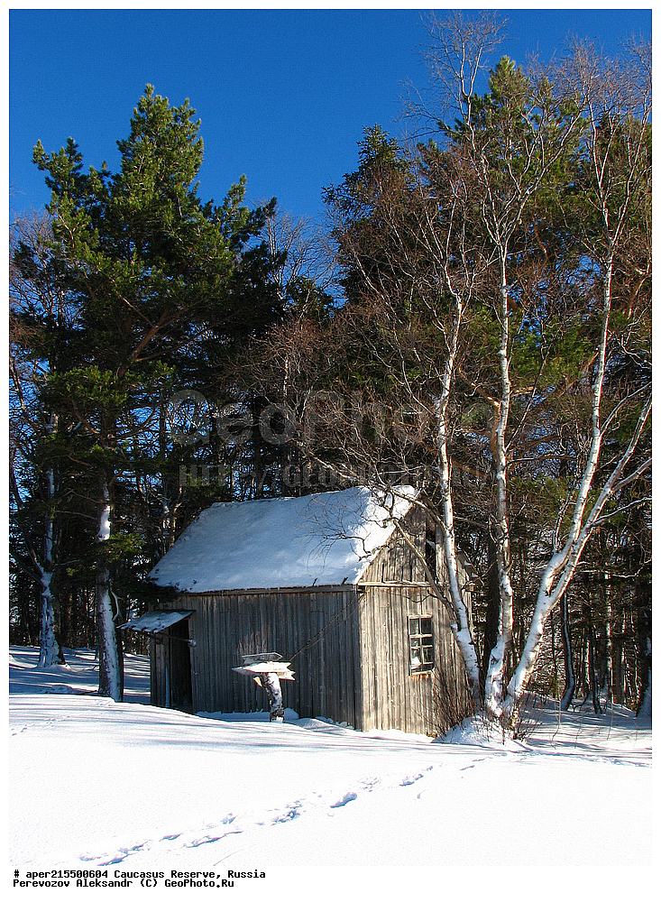 ������������� ����, ���������� ������, ���������-���������� ����������, ������, ���, ������, �������� ������, ���������� ��������������� ����������, ���������� ��������������� ��������� ���������� ���������� ����� �. �. �����������, ������, ��������, ����������� ��������, �����, ������ �������� �����, ����, ������, ����, �������� ������,, ������