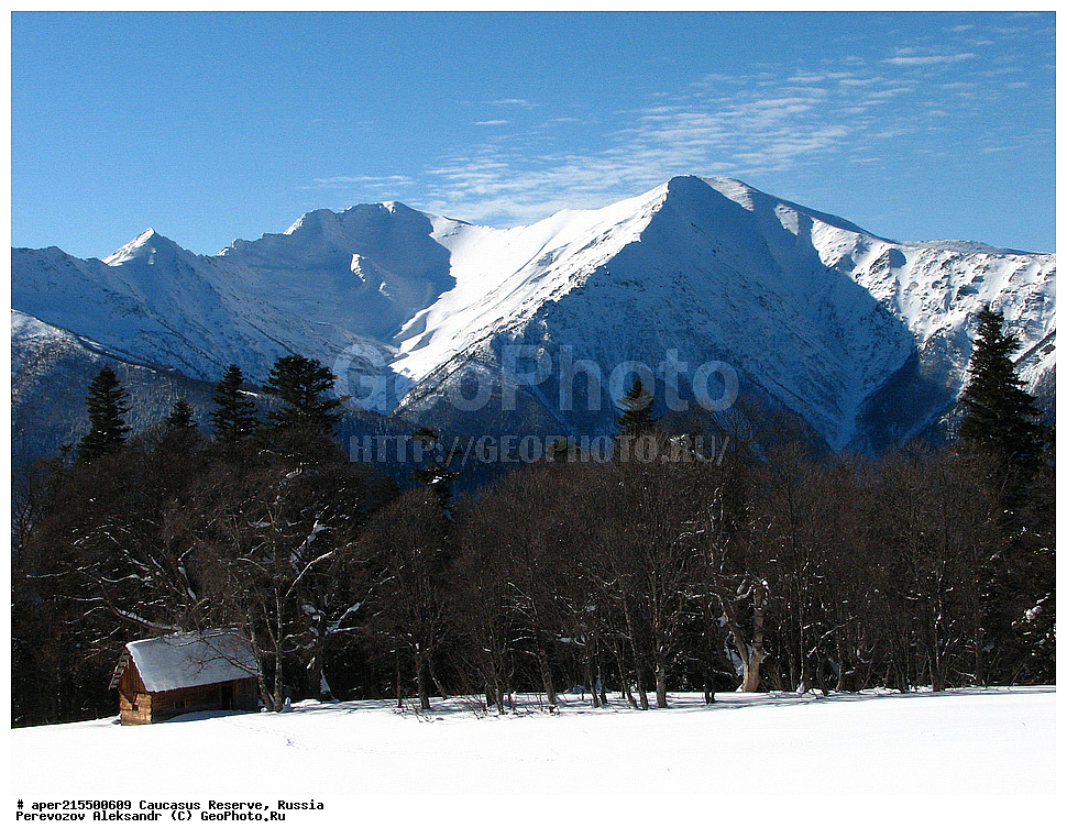 ������������� ����, ���������� ������, ���������-���������� ����������, ������, ���, ������, �������� ������, ���������� ��������������� ����������, ���������� ��������������� ��������� ���������� ���������� ����� �. �. �����������, ������, ��������, ������������� ��������, �����, ������ �������� �����, ����, ������, ����, �������� ������,, ������