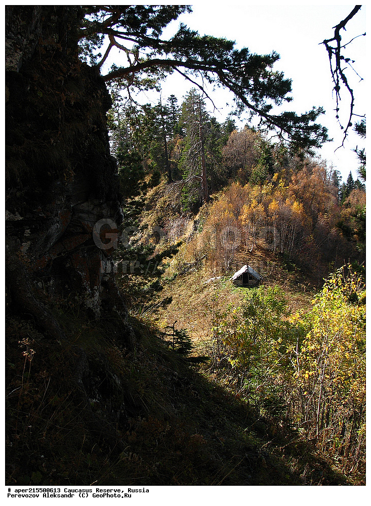 ������������� ����, ���������� ������, ���������-���������� ����������, ������, ���, ������, �������� ������, ���������� ��������������� ����������, ���������� ��������������� ��������� ���������� ���������� ����� �. �. �����������, ������, ��������, ��������� �������, ����, ����� ����, �����, ������, ��������� ����, ������� ����, �����, ������, ����, �������� ������,, ������