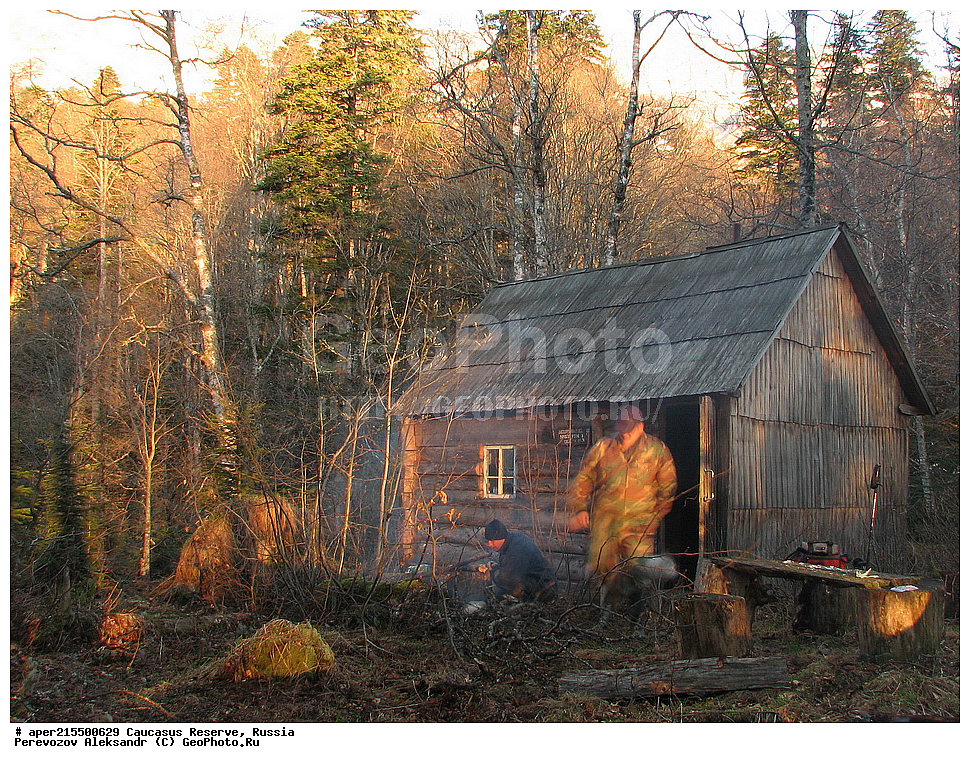 ������������� ����, ���������� ������, ���������-���������� ����������, ������, ���, ������, �������� ������, ���������� ��������������� ����������, ���������� ��������������� ��������� ���������� ���������� ����� �. �. �����������, ������, ��������, ����������, �����, �����������, ������, ������ ������, ����� ���, �����, ������, ����, �������� ������,, ������