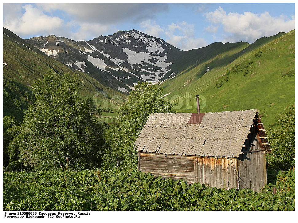 ������������� ����, ���������� ������, ���������-���������� ����������, ������, ���, ������, �������� ������, ���������� ��������������� ����������, ���������� ��������������� ��������� ���������� ���������� ����� �. �. �����������, ������, ��������, �������, ������, �����, ����, �����, ����, ������, ����, �������� ������,, ������