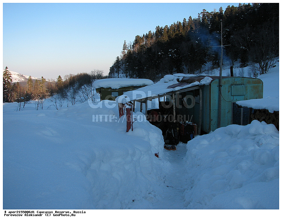 ������������� ����, ���������� ������, ���������-���������� ����������, ������, ���, ������, �������� ������, ���������� ��������������� ����������, ���������� ��������������� ��������� ���������� ���������� ����� �. �. �����������, ������, ��������, ��� ��������, ����, ������, ����, �������� ������,, ������