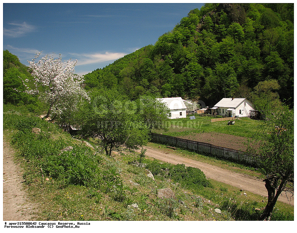 ������������� ����, ���������� ������, ���������-���������� ����������, ������, ���, ������, �������� ������, ���������� ��������������� ����������, ���������� ��������������� ��������� ���������� ���������� ����� �. �. �����������, ������, ��������, ������ ����������, �����, ����, ����� ����, spring, ������, ����, �������� ������,, ������