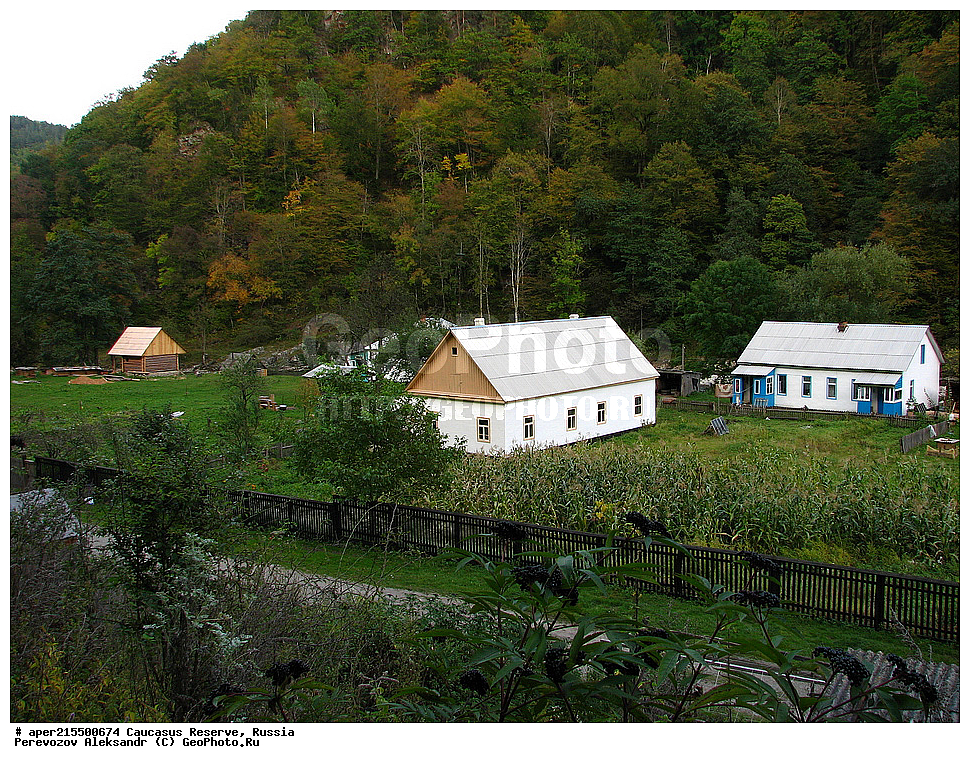 ������������� ����, ���������� ������, ���������-���������� ����������, ������, ���, ������, �������� ������, ���������� ��������������� ����������, ���������� ��������������� ��������� ���������� ���������� ����� �. �. �����������, ������, ��������, ������ ����������, �����, ����, ����� ����, �����, ������, ����, �������� ������,, ������