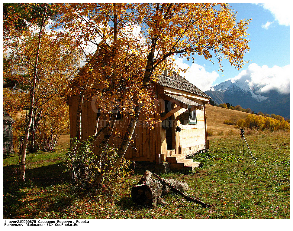 ������������� ����, ���������� ������, ���������-���������� ����������, ������, ���, ������, �������� ������, ���������� ��������������� ����������, ���������� ��������������� ��������� ���������� ���������� ����� �. �. �����������, ������, ��������, ����������� ��������, �����, ������ �������� �����, �����, ������, ����, �������� ������,, ������