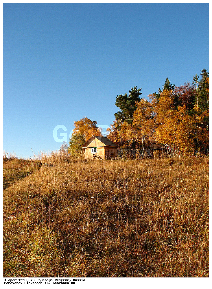 ������������� ����, ���������� ������, ���������-���������� ����������, ������, ���, ������, �������� ������, ���������� ��������������� ����������, ���������� ��������������� ��������� ���������� ���������� ����� �. �. �����������, ������, ��������, ����������� ��������, �����, ������ �������� �����, �����, ������, ����, �������� ������,, ������