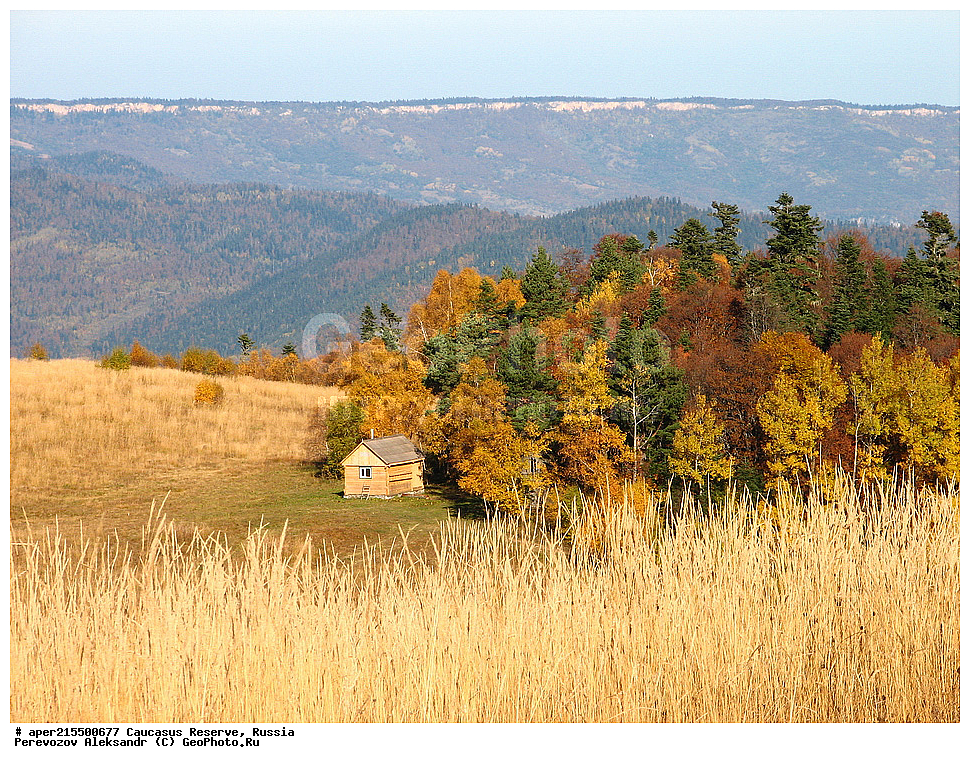 ������������� ����, ���������� ������, ���������-���������� ����������, ������, ���, ������, �������� ������, ���������� ��������������� ����������, ���������� ��������������� ��������� ���������� ���������� ����� �. �. �����������, ������, ��������, ����������� ��������, �����, ������ �������� �����, �����, ������, ����, �������� ������,, ������