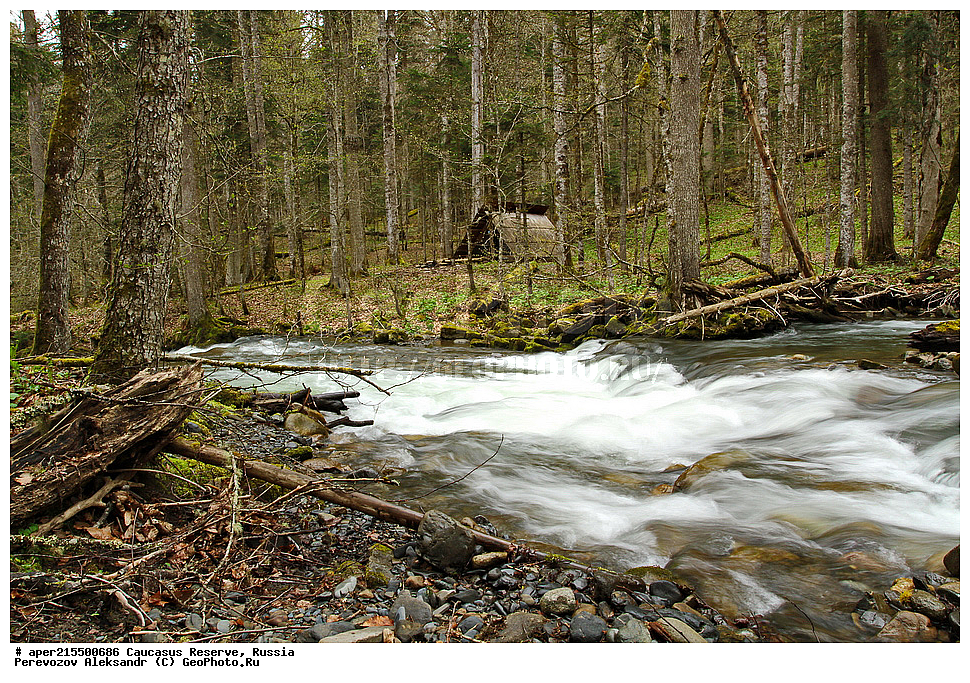 ������������� ����, ���������� ������, ���������-���������� ����������, ������, ���, ������, �������� ������, ���������� ��������������� ����������, ���������� ��������������� ��������� ���������� ���������� ����� �. �. �����������, ������, ��������, ���������� �������, �����, ����, �����, ���������, ������ ������, �����, ������, ����, �������� ������,, ������