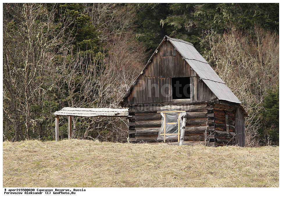 ������������� ����, ���������� ������, ���������-���������� ����������, ������, ���, ������, �������� ������, ���������� ��������������� ����������, ���������� ��������������� ��������� ���������� ���������� ����� �. �. �����������, ������, ��������, ������, �����, ������, ������ ������, ���� ����, �����, ������, ����, �������� ������,, ������