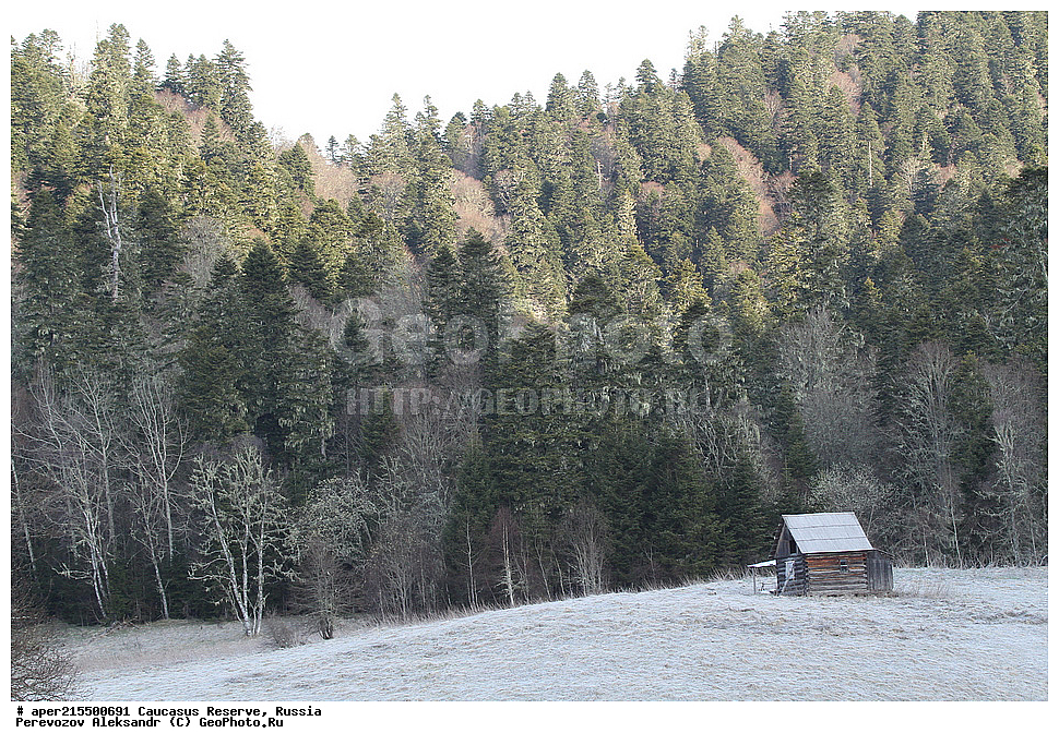 ������������� ����, ���������� ������, ���������-���������� ����������, ������, ���, ������, �������� ������, ���������� ��������������� ����������, ���������� ��������������� ��������� ���������� ���������� ����� �. �. �����������, ������, ��������, ������, �����, ������, ������ ������, ���� ����, �����, ������, ����, �������� ������,, ������