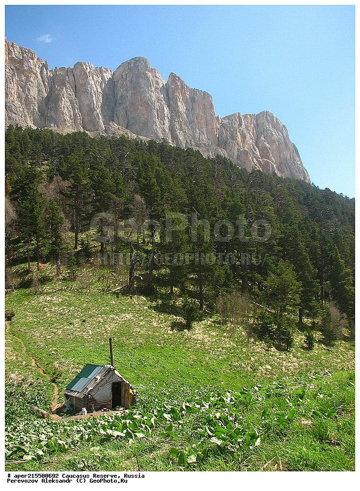 ������������� ����, ���������� ������, ���������-���������� ����������, ������, ���, ������, �������� ������, ���������� ��������������� ����������, ���������� ��������������� ��������� ���������� ���������� ����� �. �. �����������, ������, ��������, ��������� ������� ��� ����� ������� ����, ����, ������, ����, �������� ������,, ������